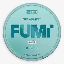 FUMi Spearmint Mini Regular