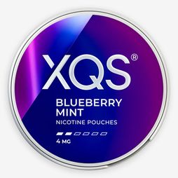 XQS Blueberry Mint 4mg