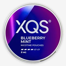 XQS Blueberry Mint Strong