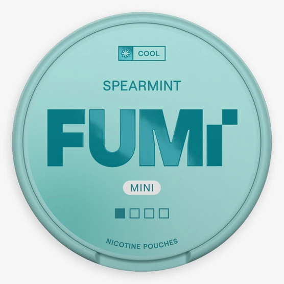 FUMi Spearmint Mini Regular