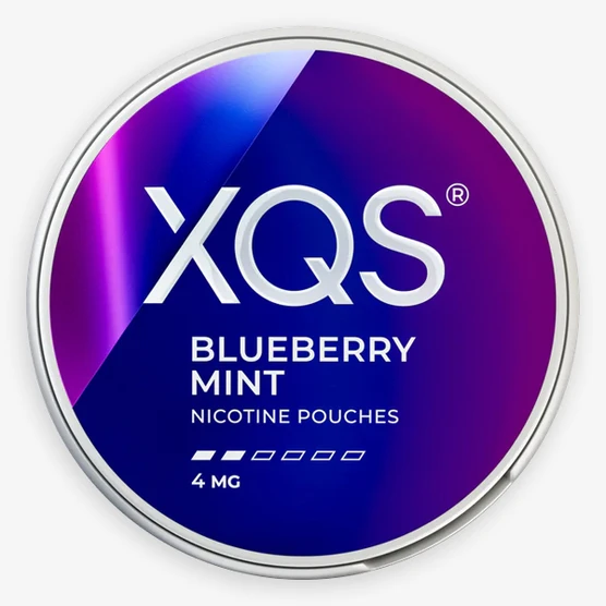 XQS Blueberry Mint 4mg